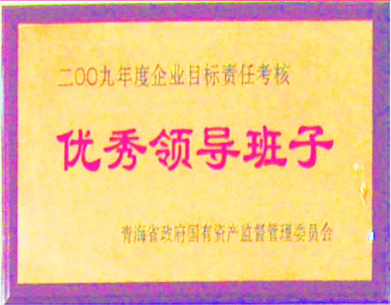 2009年度优秀领导班子